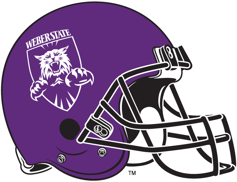 Weber State Wildcats 2006-2011 Helmet Logo diy iron on heat transfer